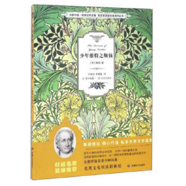 少年维...