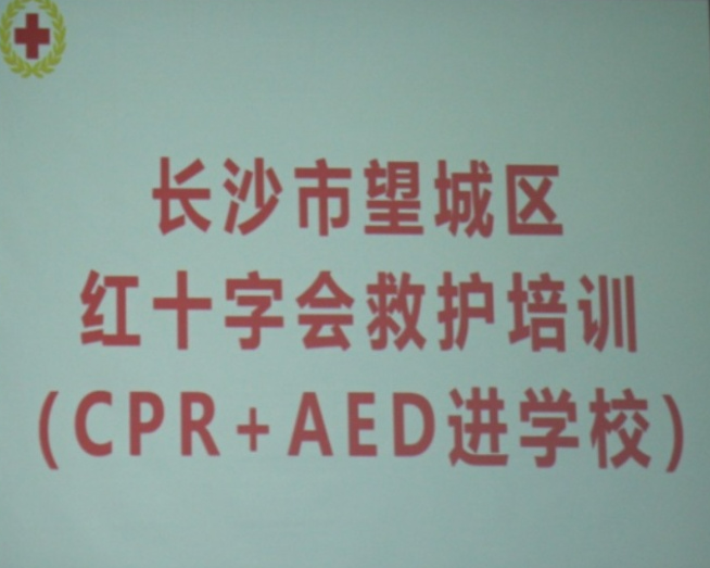 亚洲欧美日韩中文字幕在线